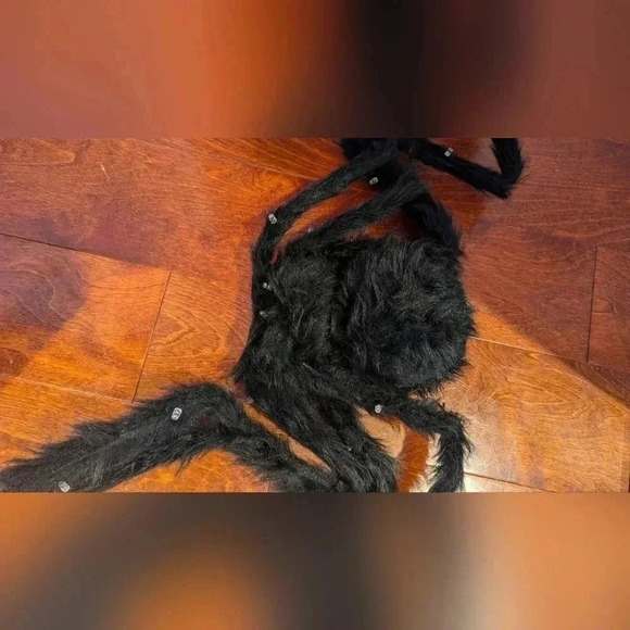 EUC Light Up Spider Halloween Decoration - Picture 6 of 8